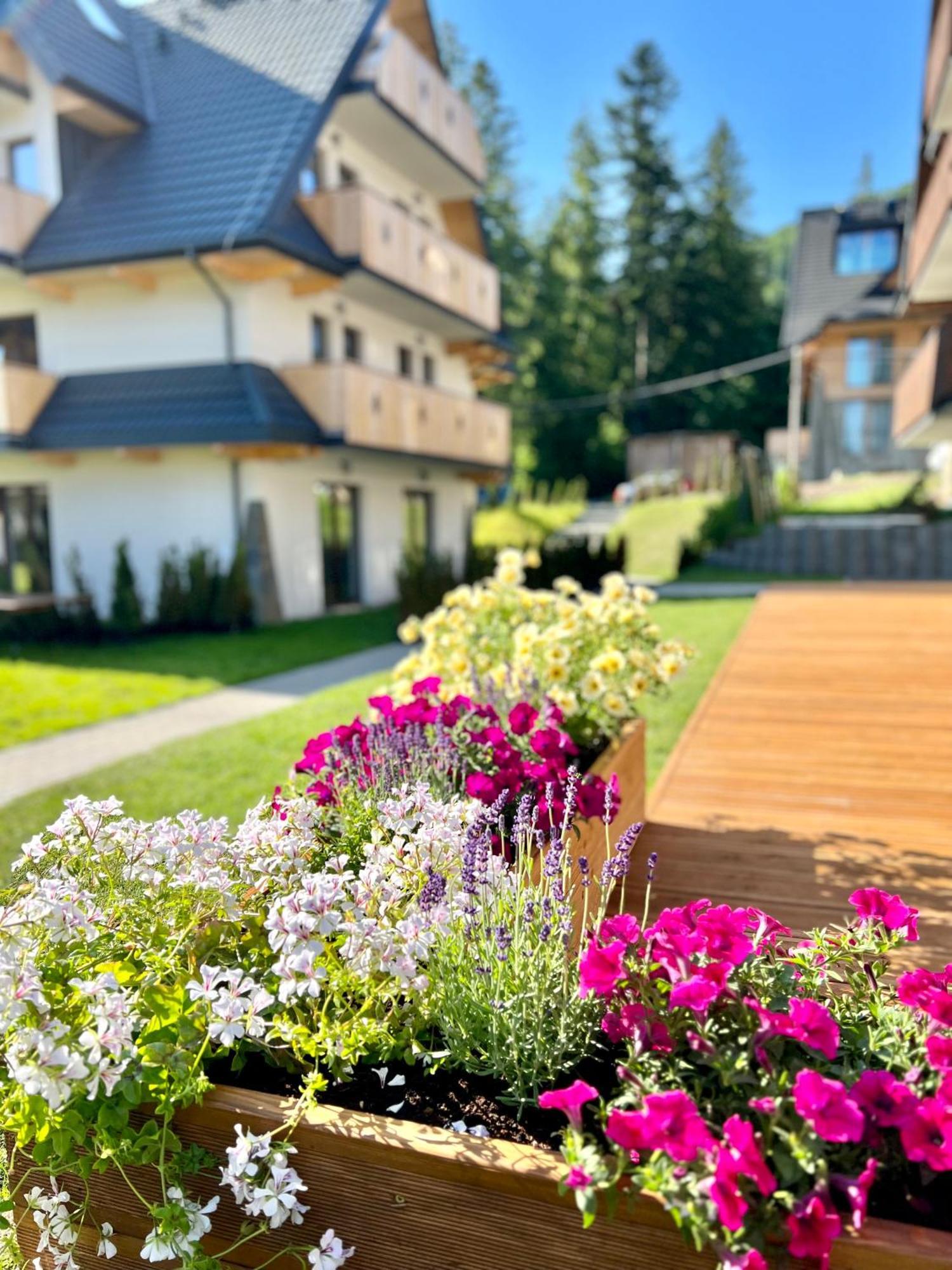 Nosal Ski & Wine Apartments Zakopane Extérieur photo