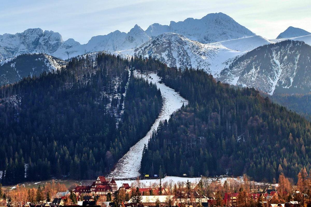 Nosal Ski & Wine Apartments Zakopane Extérieur photo